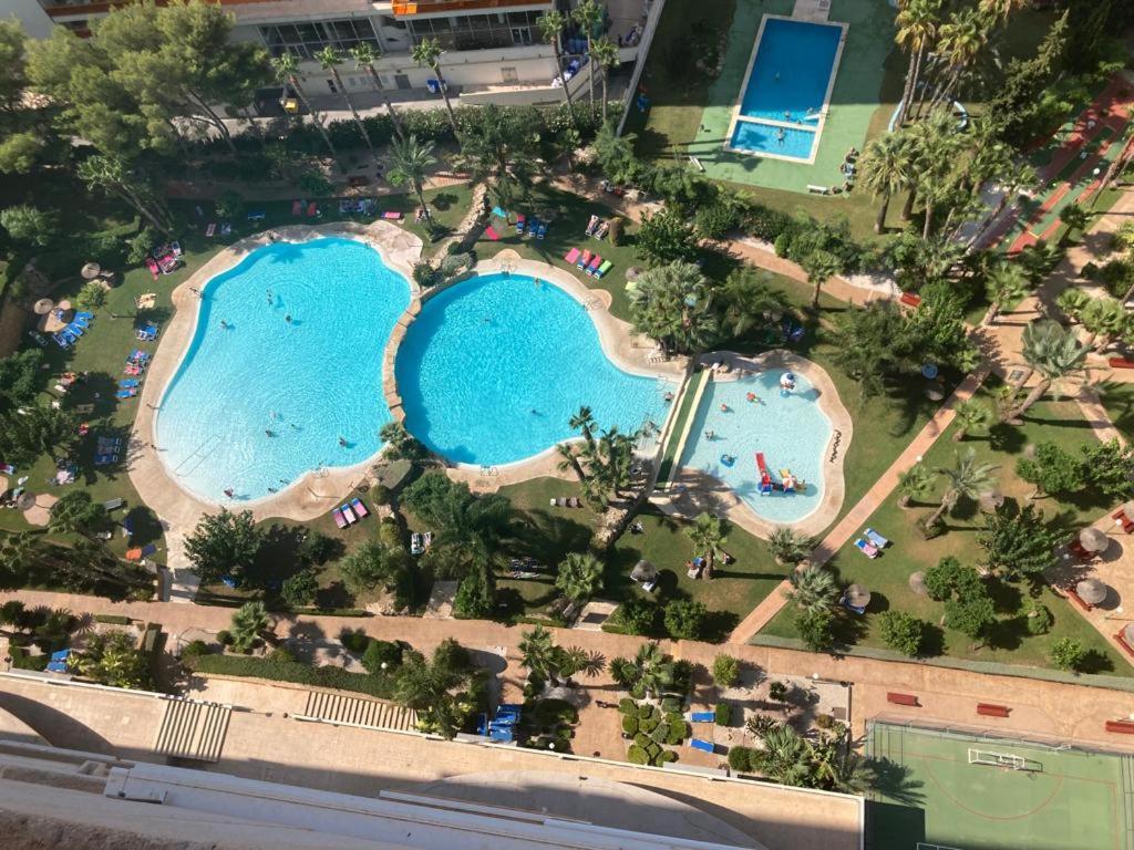 Rascacielo Bonito Mirando Al Mar Leilighet Benidorm Eksteriør bilde