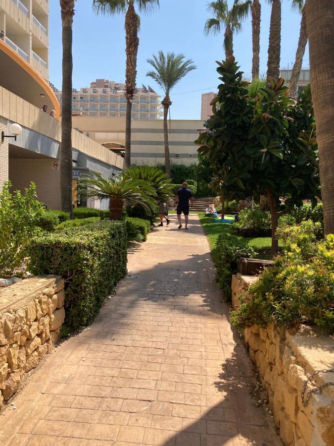 Rascacielo Bonito Mirando Al Mar Leilighet Benidorm Eksteriør bilde